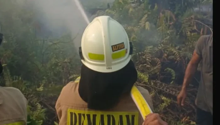 Kebakaran yang Sebabkan KRL di Jakut Alami Gangguan Diduga Akibat Puntung Rokok