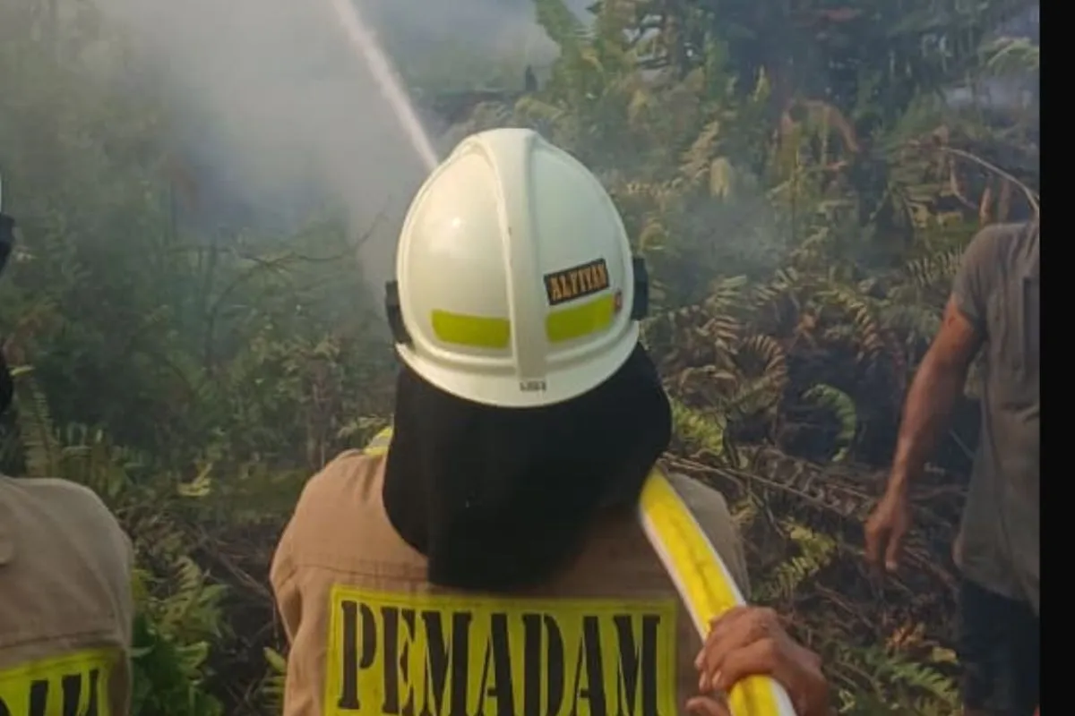Petugas berupaya memadamkan kebakaran lahan di dekat Stasiun Kampung Bandan, Ancol, Jakarta Utara