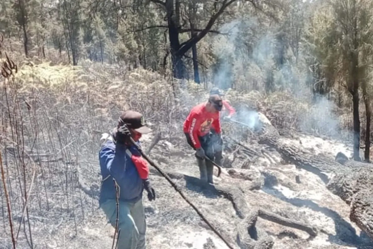 Petugas gabungan melakukan pemadaman karhutla dengan sistem gepyok di lereng Gunung Arjuno-Gunung Welirang