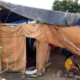 Kondisi pengungsi gempa NTT yang tinggal sementara di tenda darurat.