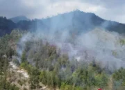Kewalahan Tangani Karhutla di Kawah Ijen, Banyuwangi Tetapkan Status Darurat Bencana