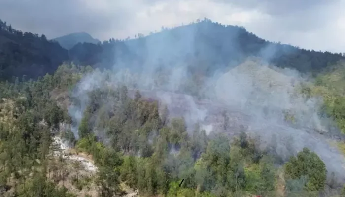 Kewalahan Tangani Karhutla di Kawah Ijen, Banyuwangi Tetapkan Status Darurat Bencana