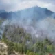 Kebakaran hutan dan lahan (karhutla) di kawasan Taman Wisata Alam (TWA) Kawah Ijen meluas.