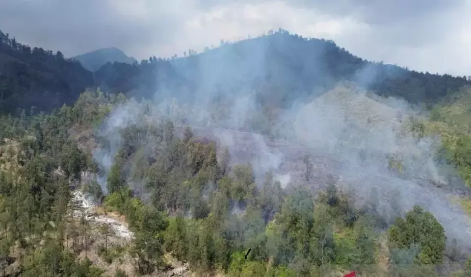 Kebakaran hutan dan lahan (karhutla) di kawasan Taman Wisata Alam (TWA) Kawah Ijen meluas.