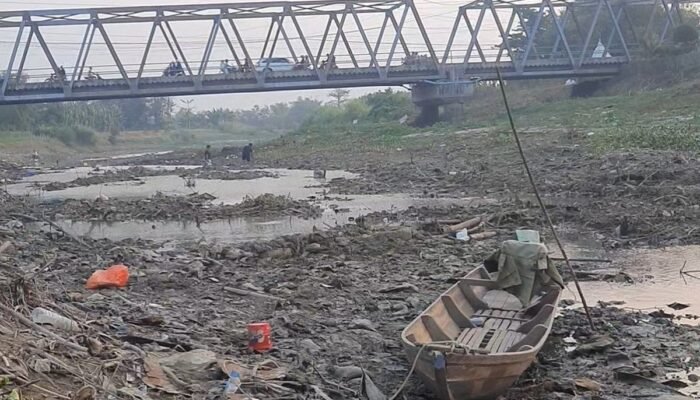 Sungai Silugonggo Surut, Ribuan Hektare Sawah di Pati Terancam Puso