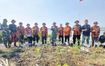 Pengurus Majelis Pimpinan Cabang (MPC) Pemuda Pancasila Kota Semarang bersama Pimpinan Anak Cabang (PAC) se Kota Semarang serta unsur TNI-Polri dan masyarakat melakukan penanaman pohon mangrove di Pulau Tirang, Minggu (20/9/2026).