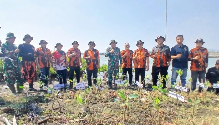 Abrasi Pantai Makin Kritis, MPC Pemuda Pancasila Kota Semarang Tanam Ratusan Pohon Mangrove di Pulau Tirang