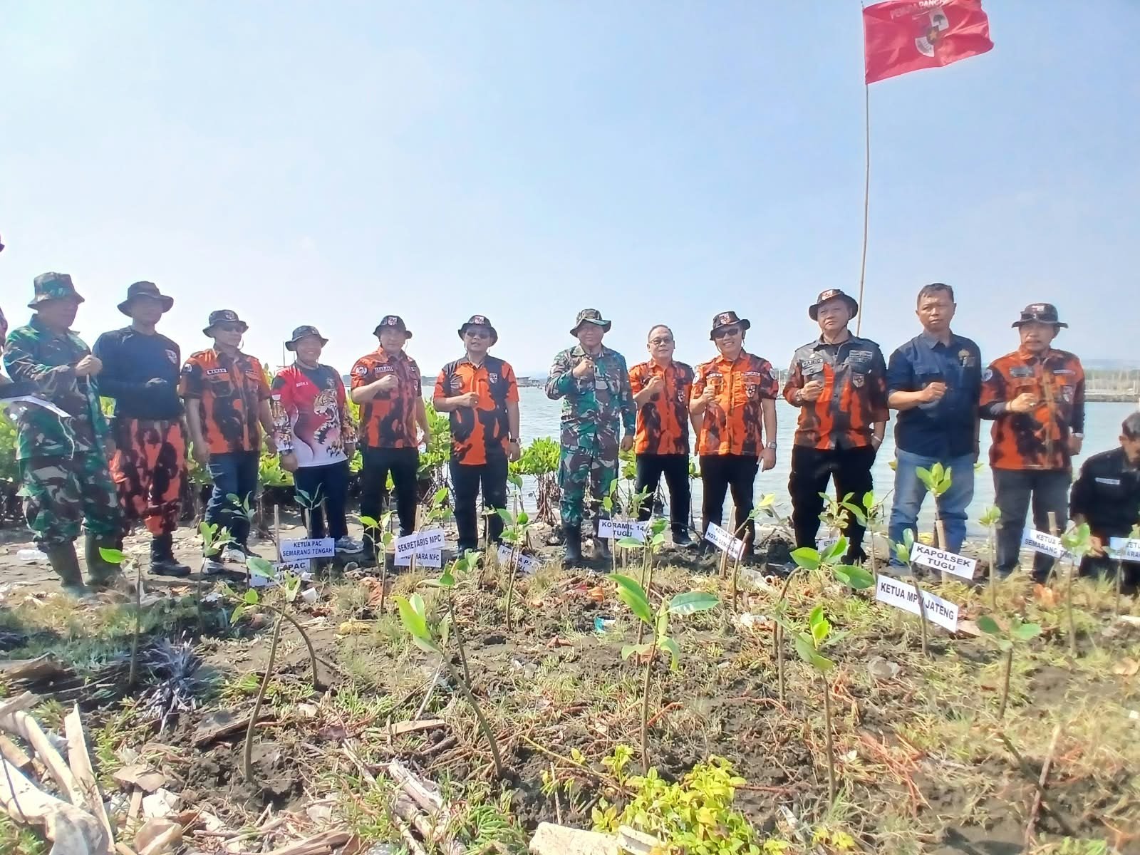 Pengurus Majelis Pimpinan Cabang (MPC) Pemuda Pancasila Kota Semarang bersama Pimpinan Anak Cabang (PAC) se Kota Semarang serta unsur TNI-Polri dan masyarakat melakukan penanaman pohon mangrove di Pulau Tirang, Minggu (20/9/2026).